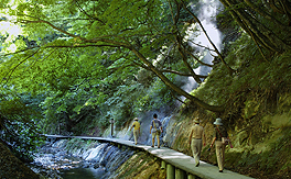 Jigokudani Walking Trail