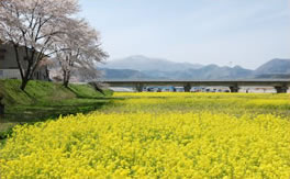 Ruins of Shitomae no Sekisho