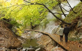 Oku no Hosomichi Walking Trail